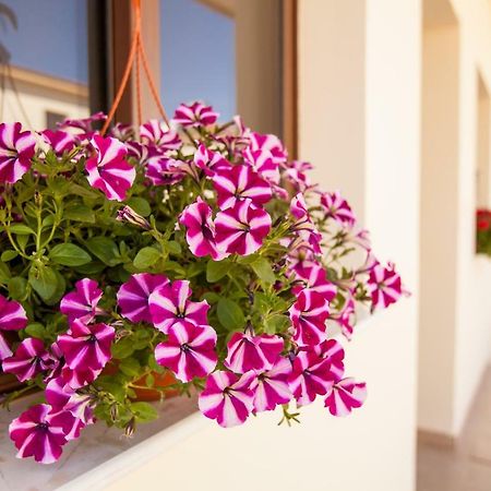 Dafni Villa 19パラリムニ エクステリア 写真
